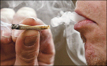 Selon la Cour Supr&ecirc;me, la consommation de marijuana peut faire l'objet de mesures &eacute;dict&eacute;es en vertu de la comp&eacute;tence relative au droit criminel, une comp&eacute;tence f&eacute;d&eacute;rale en vertu de la Loi constitutionnelle de 1867