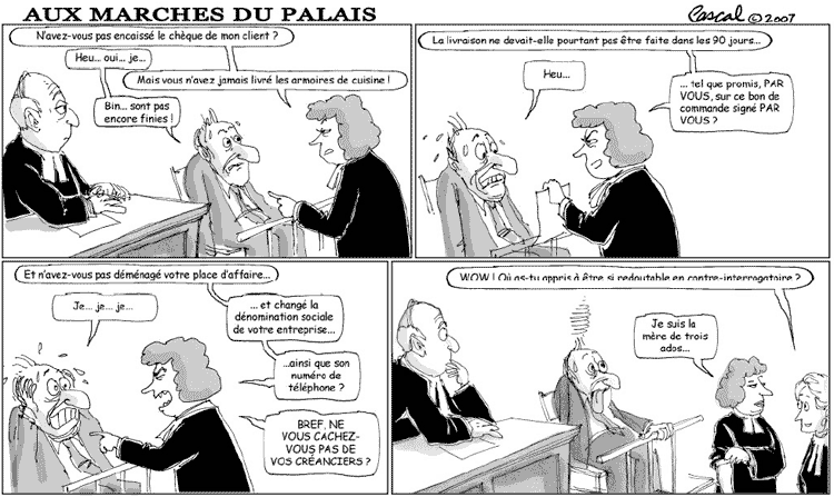 Caricature du Journal du Barreau - &eacute;dition de juin 2007